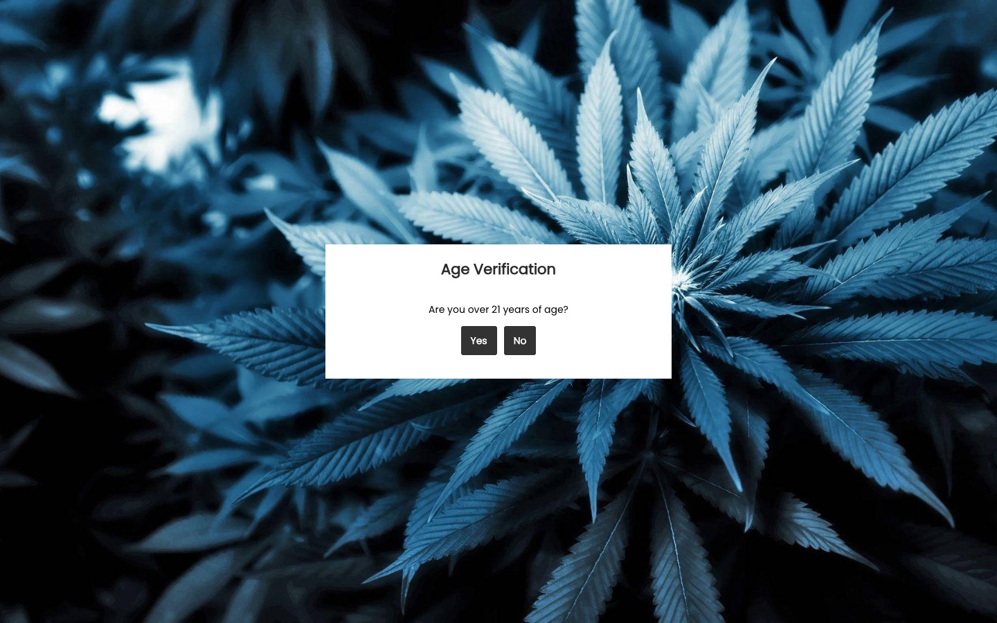 The current homepage
